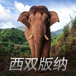 蓝湾大师赛竹田丽央领先2杆 李淑瑛T9王馨迎T11